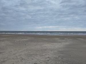 Frans 01 Compositie in blauw grijs bruin